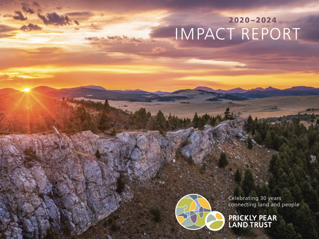 2024 Impact Report Cover